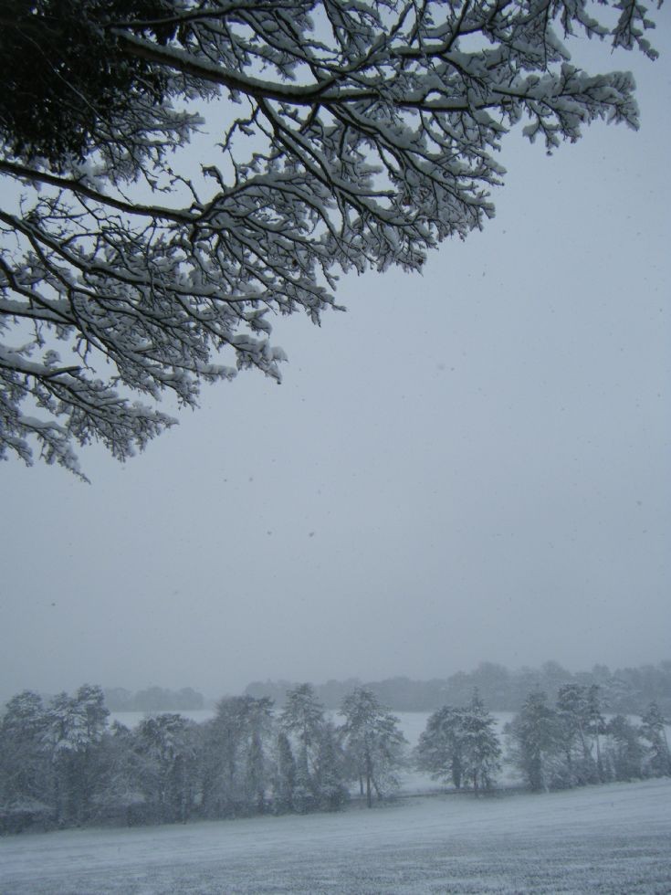 Banstead  - Holly Lane Fields in the snow