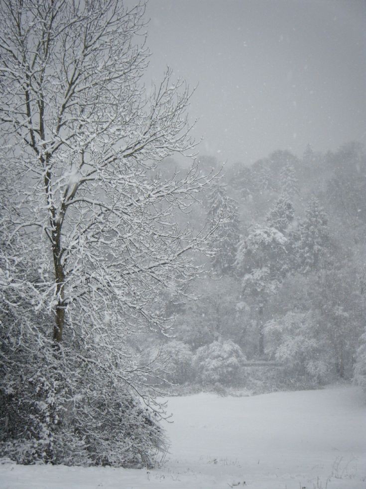 Banstead - Park Downs in the snow