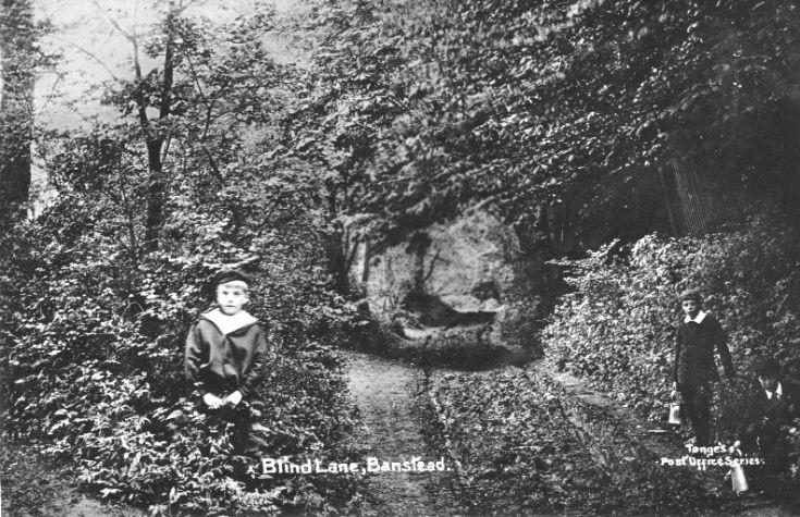 Blind Lane