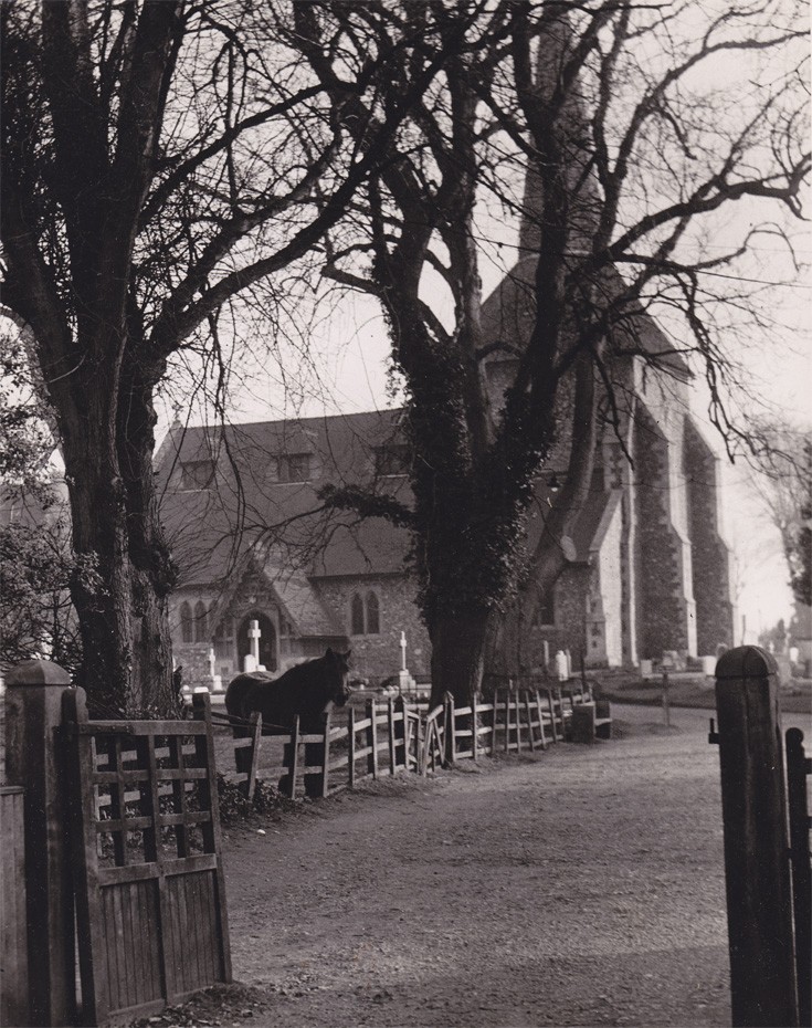 Kate the Banstead churchyard horse