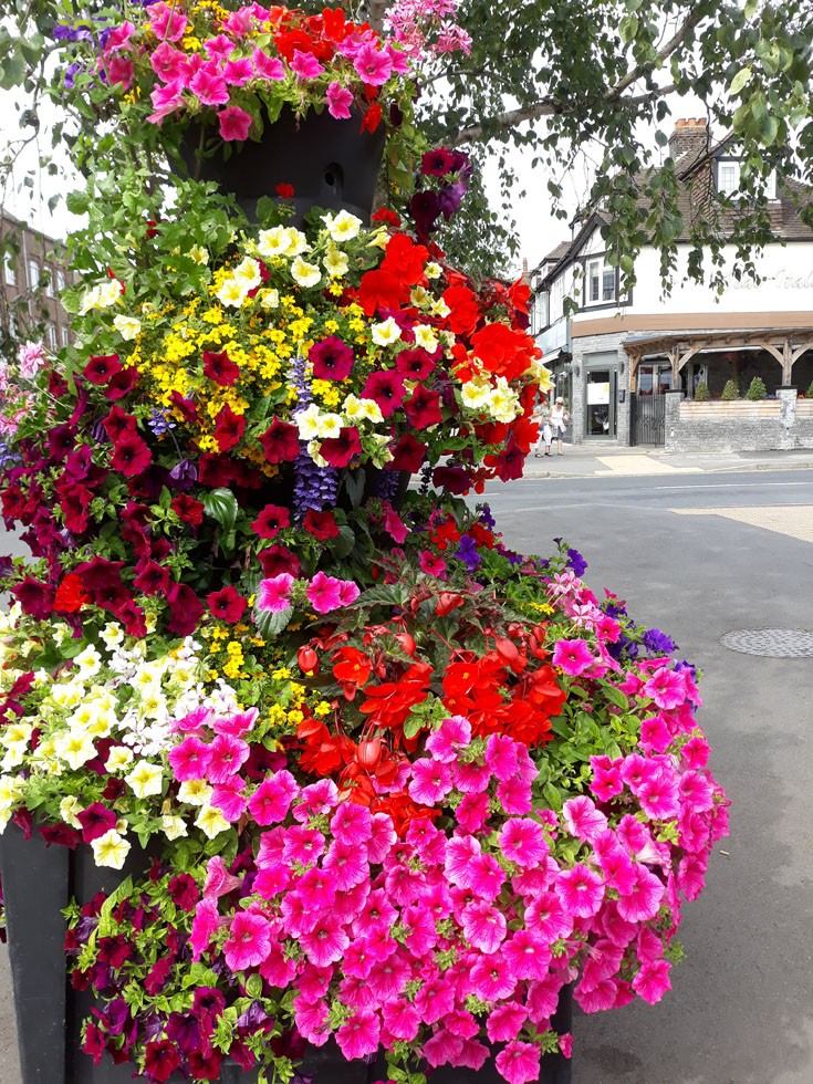 Fantastic flower displays in Banstead High Street