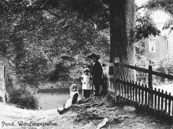 Children by a pond in Woodmansterne.