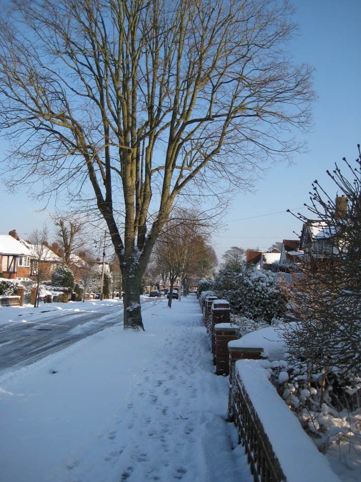Fiddicroft Avenue Banstead  Snow Dec 2009