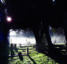 All Saints churchyard on a misty January morning
