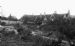 Tadworth School